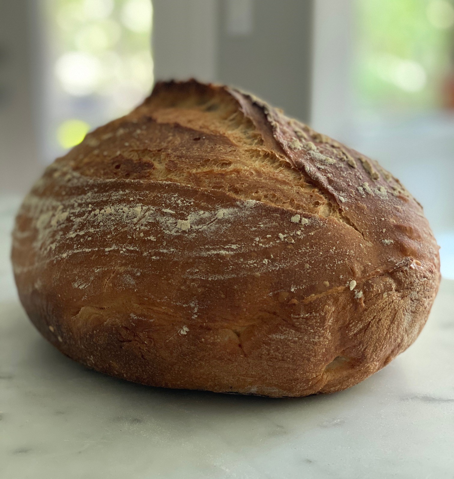 Dutch Oven Artisan Bread